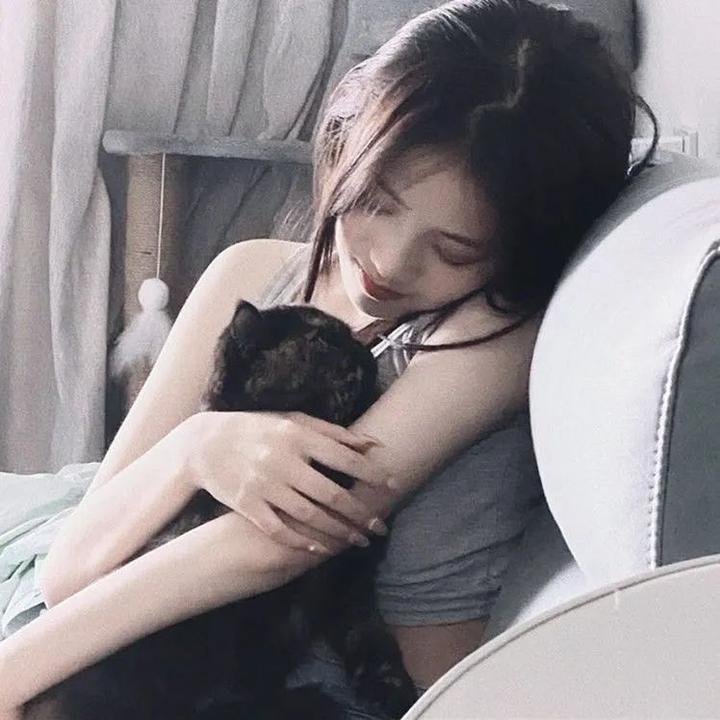 熊猫回家路